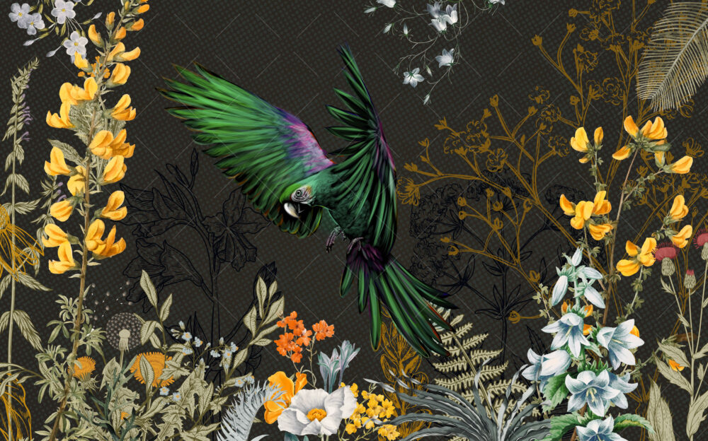 Papağanlı Çiçekli Siyah Arka Fonlu Duvar Kağıdı