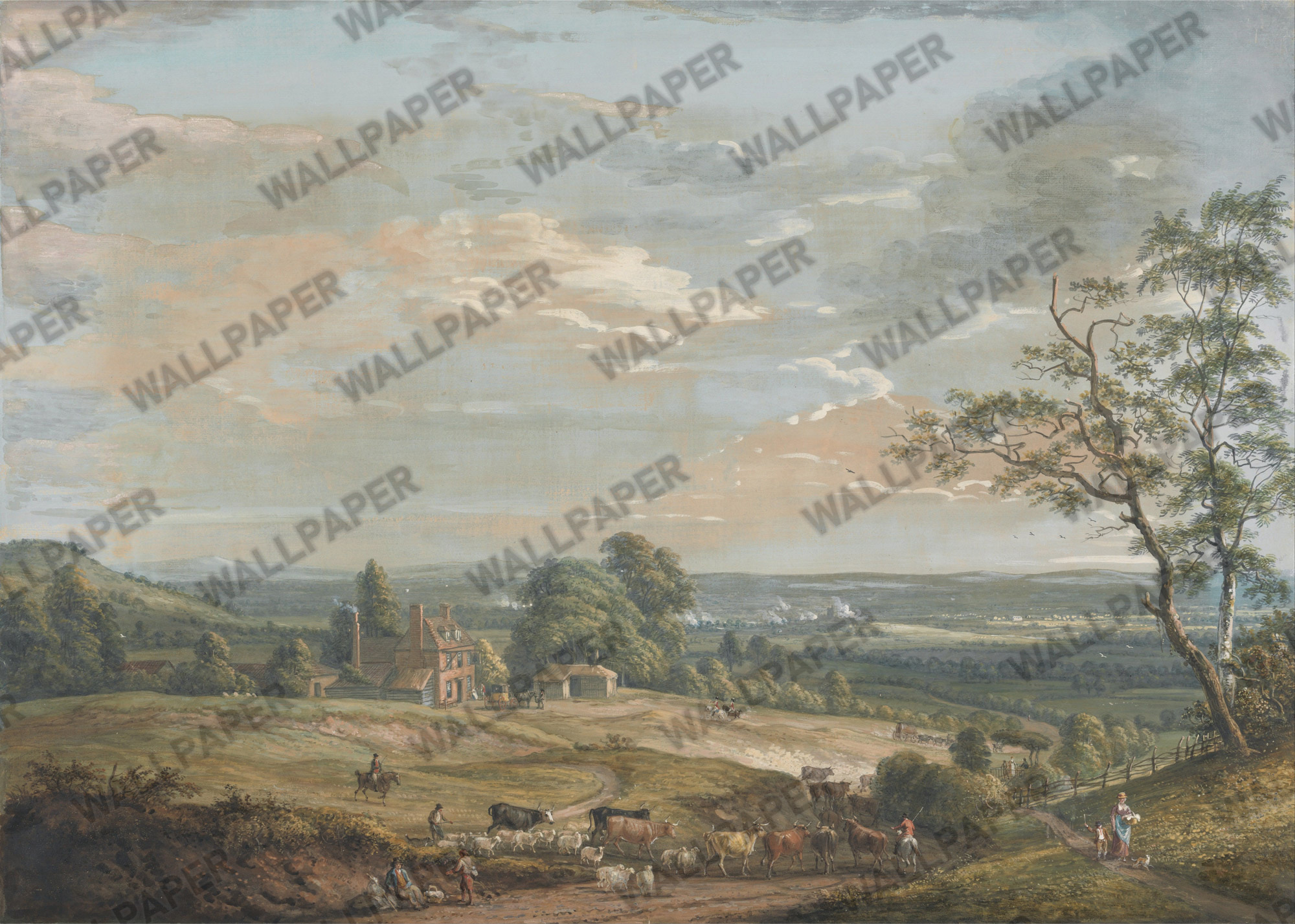 IN0702 Vadideki Köy Manzarası Duvar Kağıdı