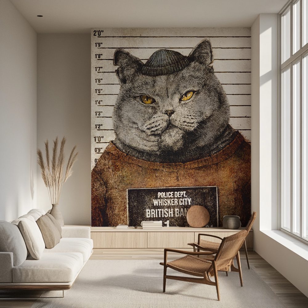 Suçlu British Shorthair Duvar Kağıdı