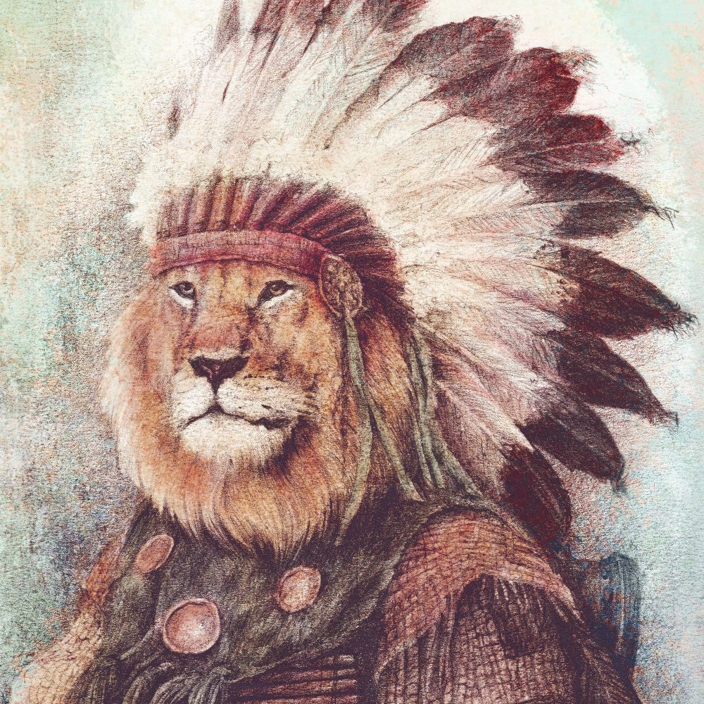 Kızılderili Aslan Duvar Kağıdı