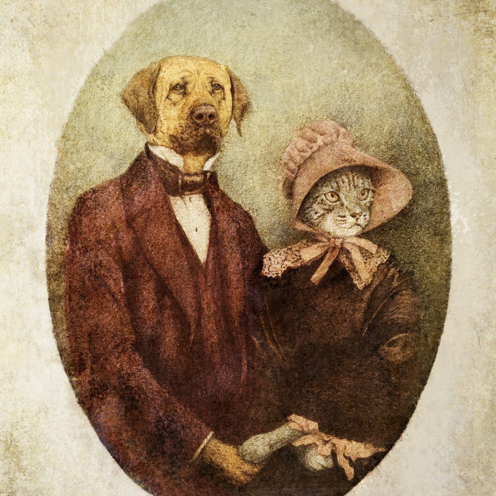 Kedi ve Köpekli Duvar Kağıdı