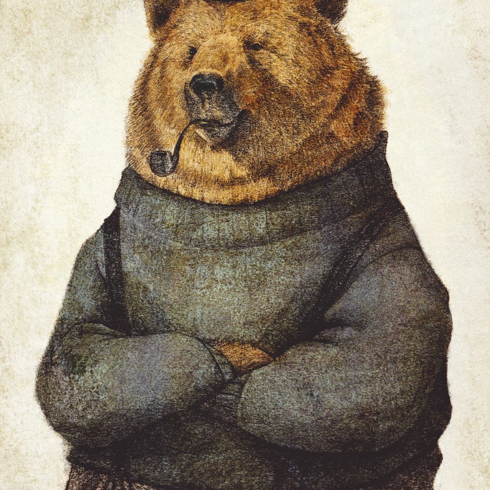 Kahverengi Ursus Arctos Duvar Kağıdı