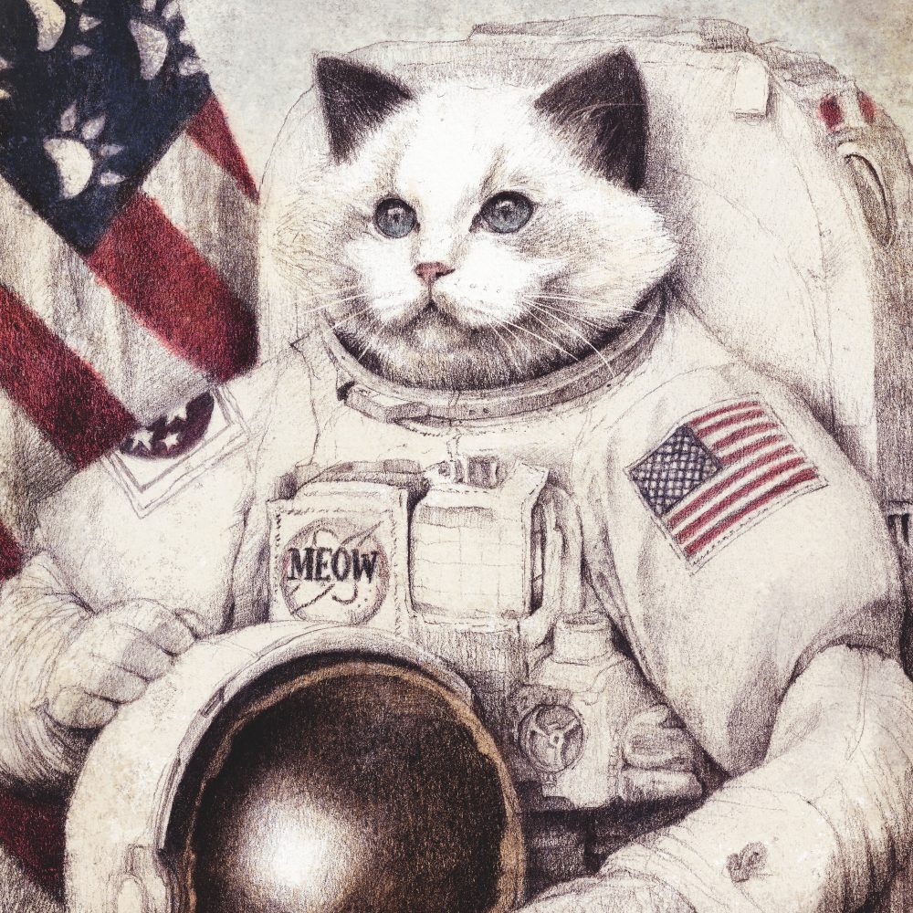 Astronot Kedi Duvar Kağıdı