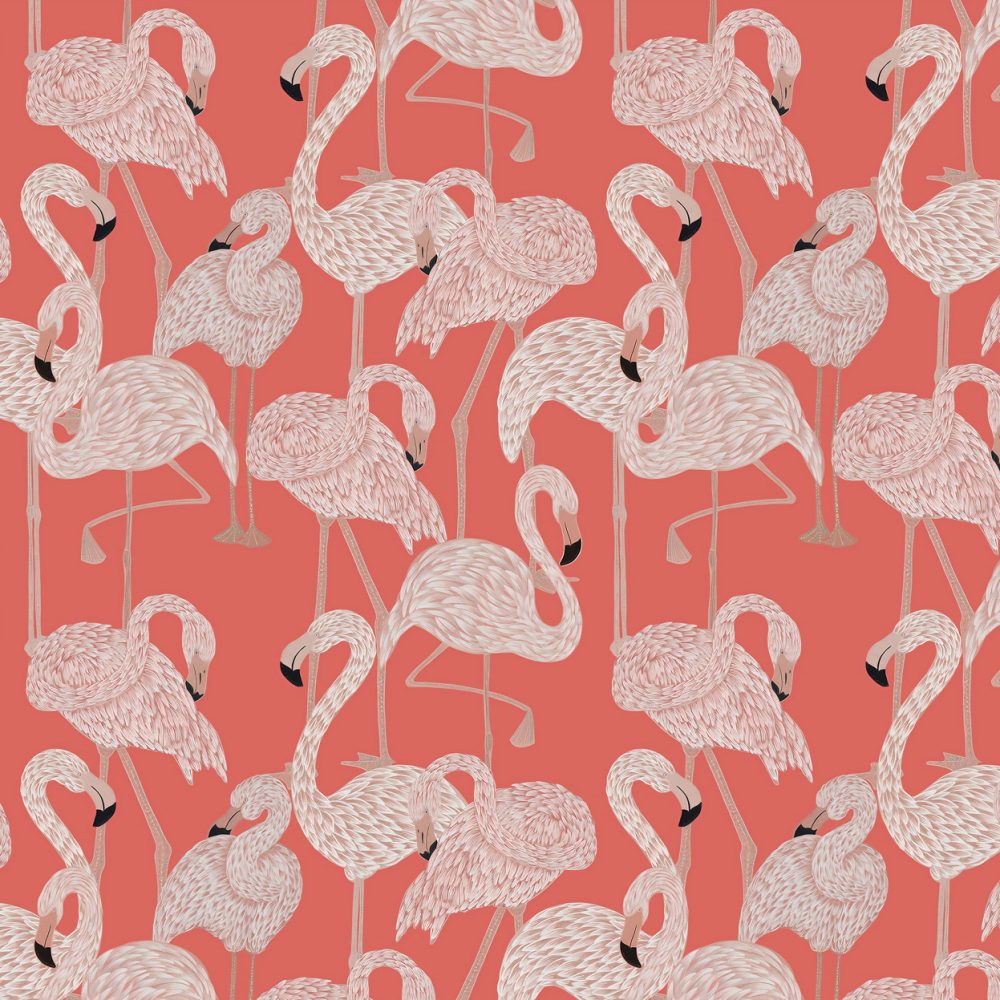 Pembe Arka Planlı Flamingo Duvar Kağıdı