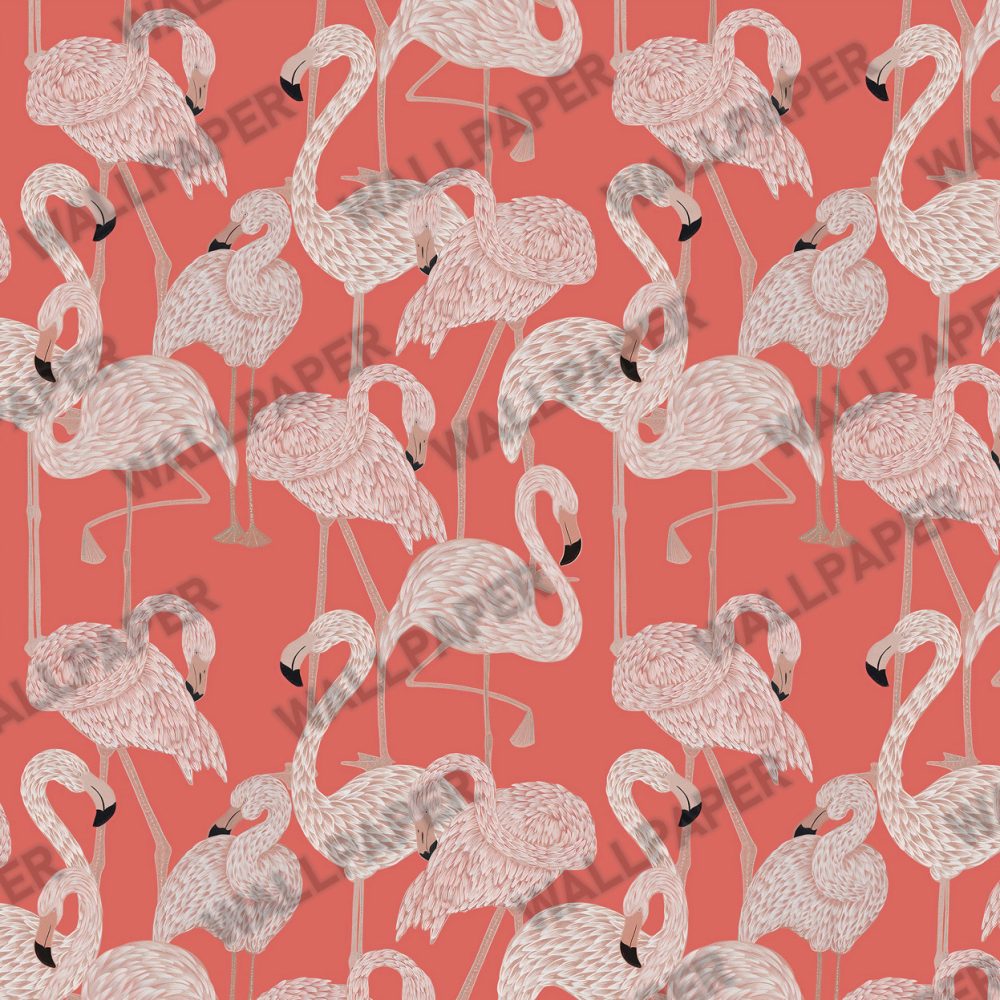Pembe Arka Planlı Flamingo Duvar Kağıdı