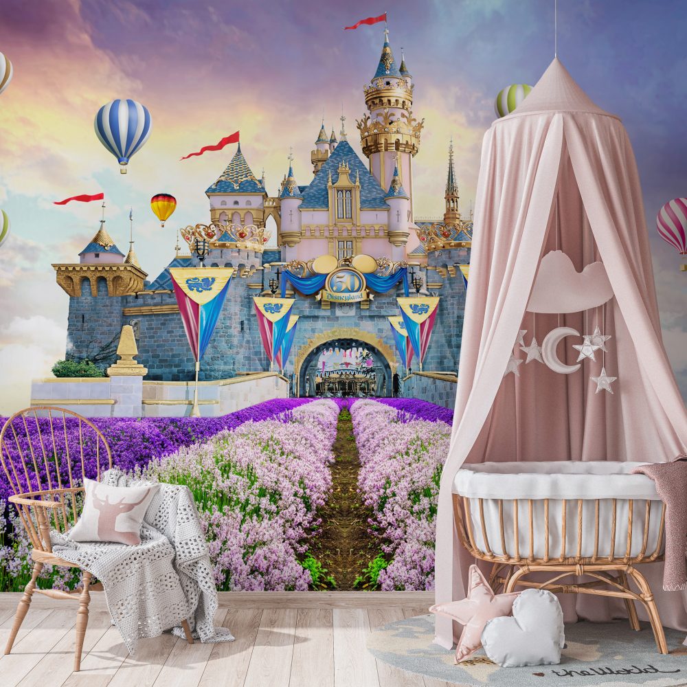 Disneyland Duvar Kağıdı