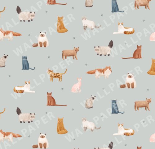 Martamunte Design Studio